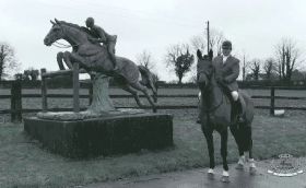 Gentle Star - David McCarthy hunt horses, Ireland