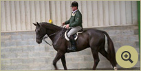 Irish Sport and Hunt Horse Breeders